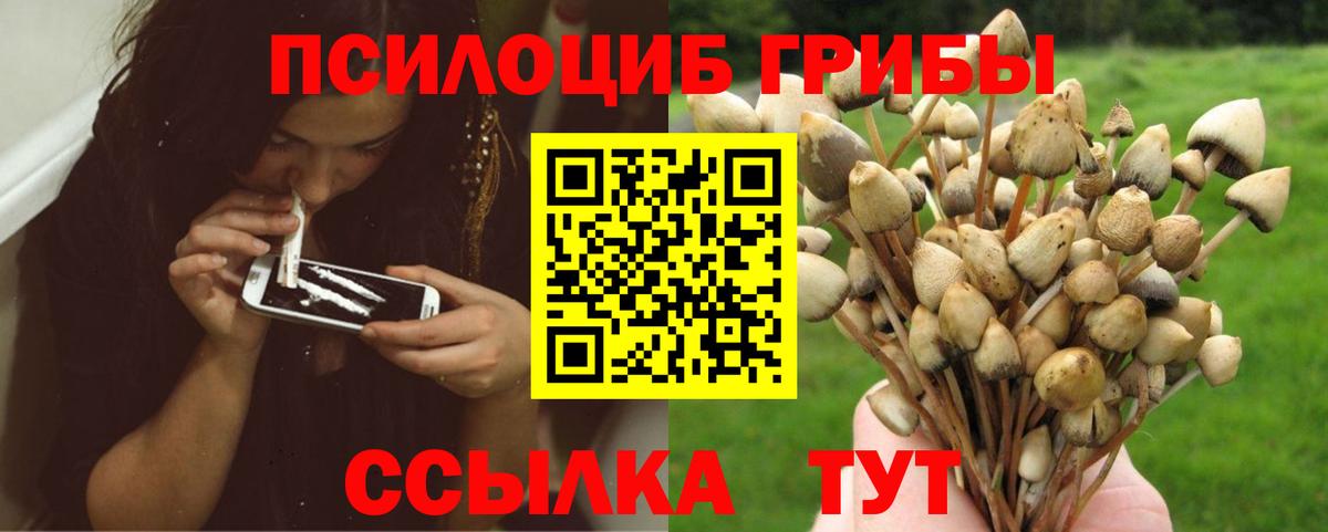 Вольск  Псилоцибиновые грибы GOLDEN TEACHER  Галлюциногенные грибы Psilocybe  Вход с VPN 